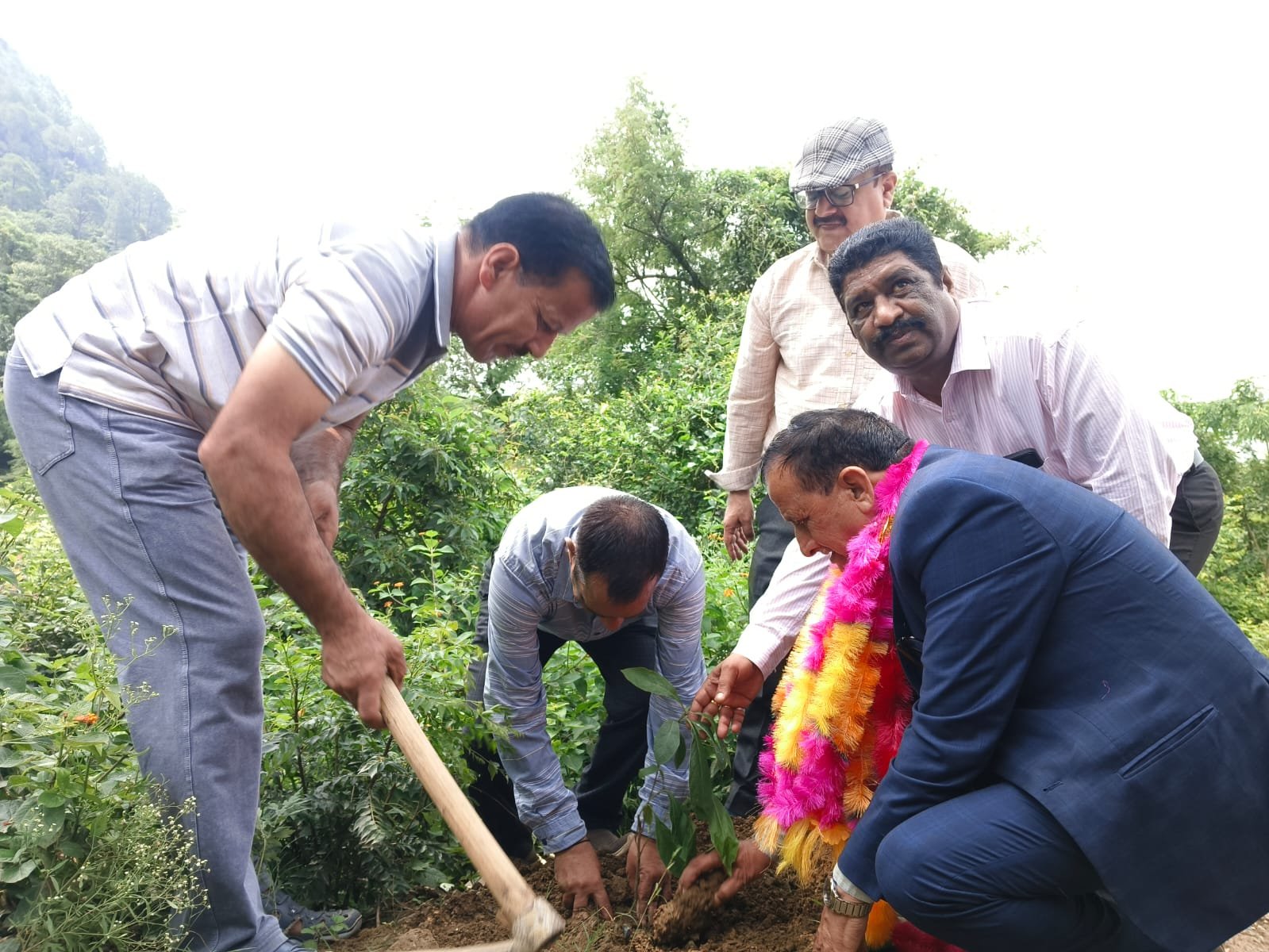 Plantation drive by the Organization in August 2026